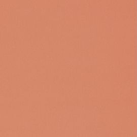 1091 UNI MATT CORAIL